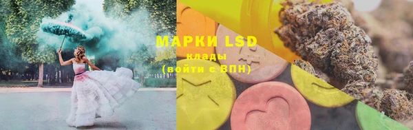 PSILOCYBIN Абдулино