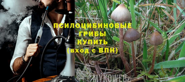 амф Абаза