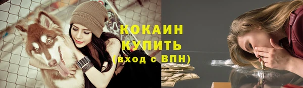 PSILOCYBIN Абдулино