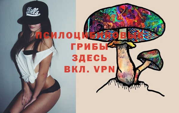 амф Абаза