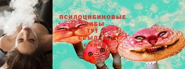 амф Абаза