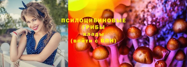 PSILOCYBIN Абдулино
