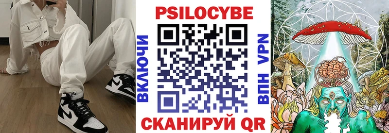 Псилоцибиновые грибы GOLDEN TEACHER  цена наркотик  Черногорск 