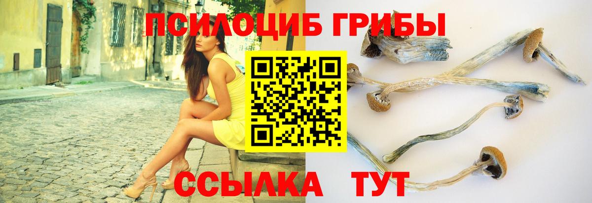 Галлюциногенные грибы мицелий Черногорск